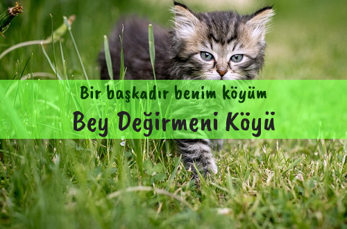 Bey Değirmeni Köyü